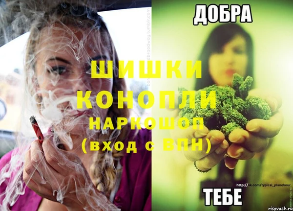 ешки Алзамай