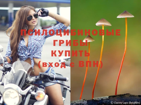 ешки Алзамай