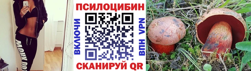 Псилоцибиновые грибы прущие грибы  сколько стоит  Мамадыш 